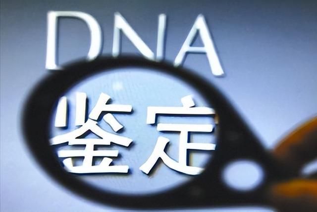 开封亲子鉴定怎么做？详细流程及费用介绍