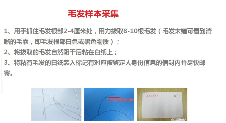 亲子鉴定都需要什么手续 2020费用明细表