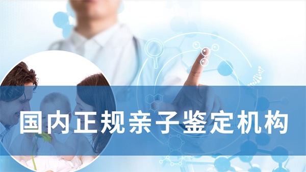 郑州做DNA需要花多少钱？