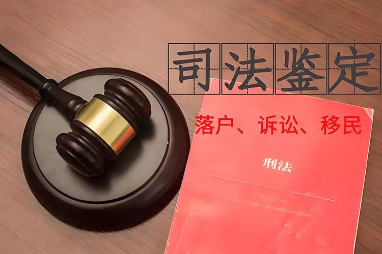 郑州亲子鉴定机构查询官网方式