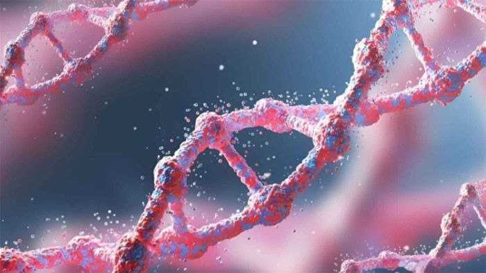 郑州哪里可以做亲子鉴定？